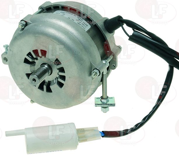 картинка Мотор слайсера 0.25HP 230V 50Hz FAC от магазина Одежда+