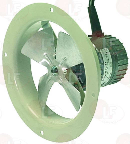 картинка Запасные части Euro Motors от магазина Одежда+