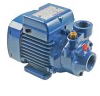 картинка Вход для насоса ø 1 "IT-выход ø 1" IT-тип PKM60 230V 50Hz 1 фаза 0,37 кВт PEDRELLO 0,5HP для Elframo 20160001 от магазина Одежда+