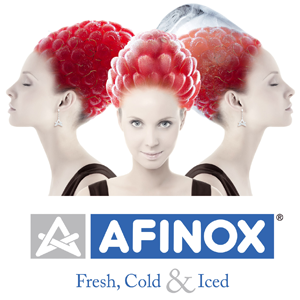 картинка Каталог инструкций на русском языке для шкафов шоковой заморозки Afinox от магазина Одежда+